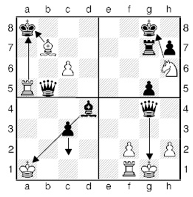 Под каким номером на диаграмме изображен вечный шах?