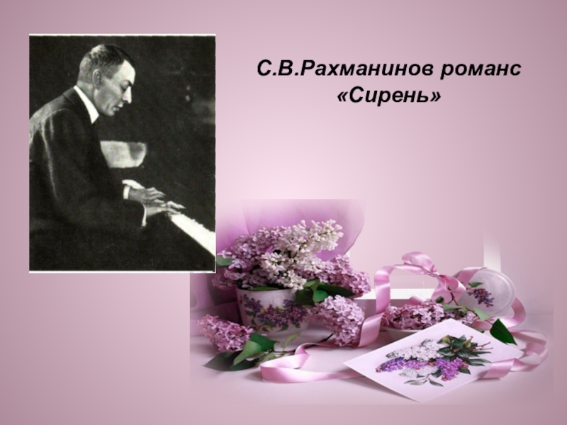 Во время гастролей после концертов С. Рахманинову всегда дарили букет цветов, которые сам композитор считал символом России. Какие цветы дарили Рахманинову?