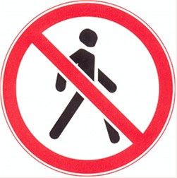 Разрешается ли пешеходу двигаться в зоне этого знака?